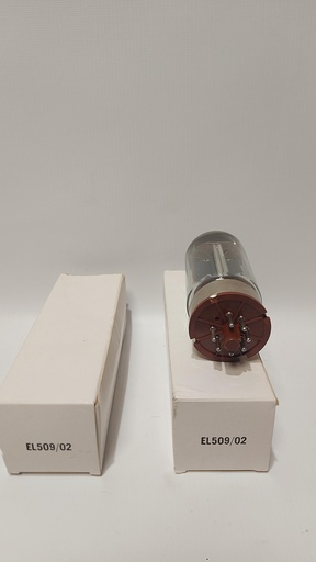 [64-] TUBE EL509 1 TUBES ET LAMPE VINTAGE NEUVE Soquet magnoval